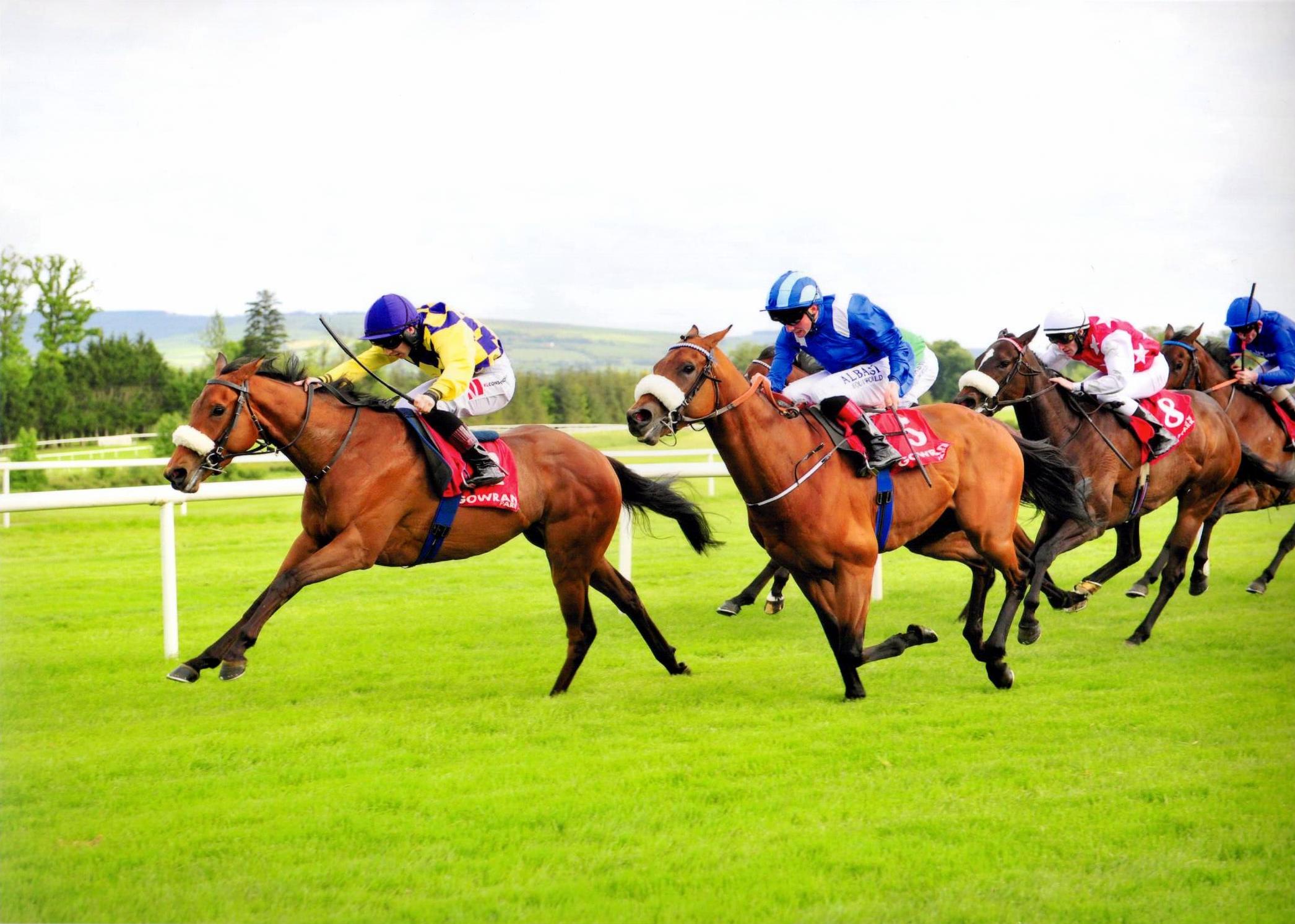 RECKLESS ENDEAVOUR scores in style at Gowran Park 25 May 2016